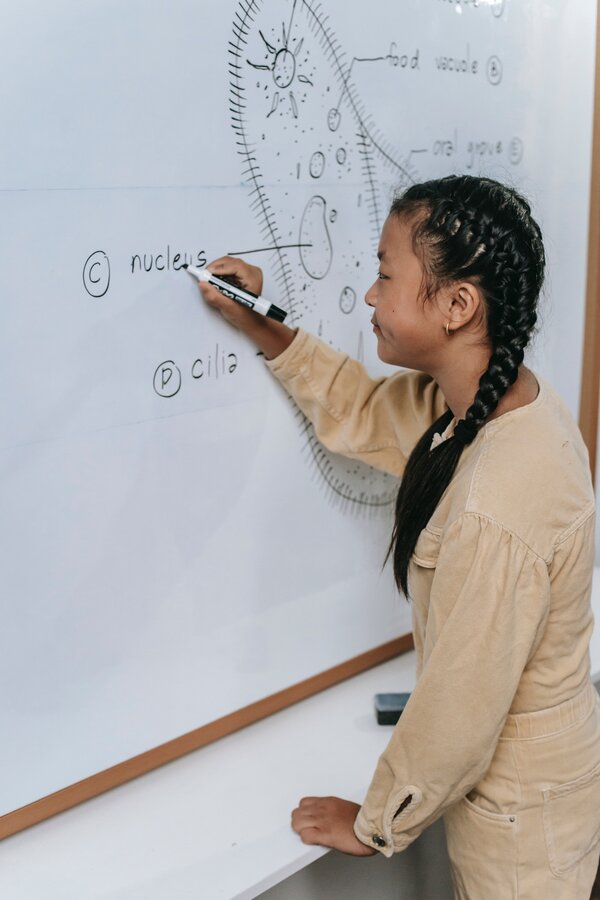 Importance of Achievement Tests