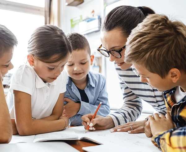 Schools & K–12 Education Organizations