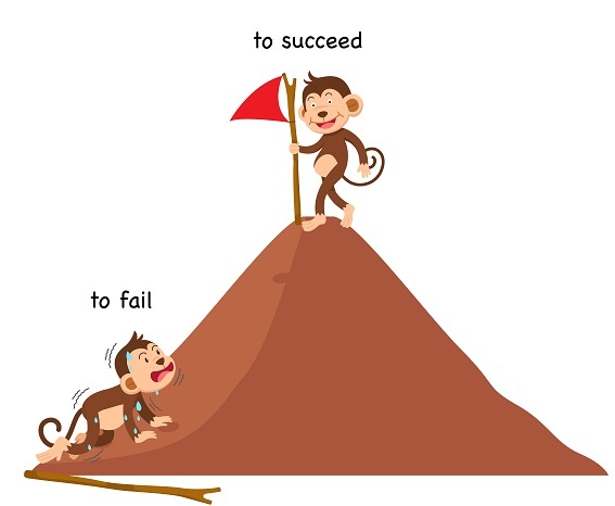 Higher education reform: succeed or fail