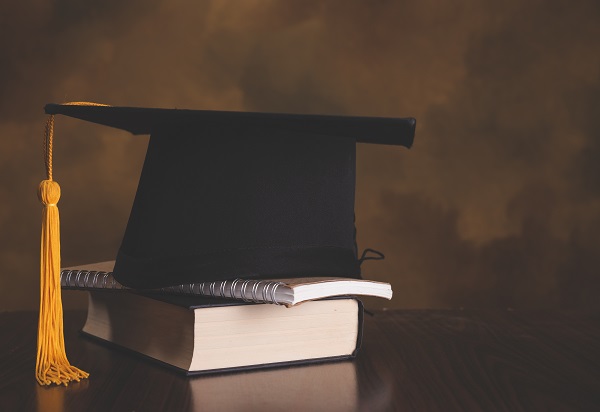 Higher education development & assessment